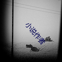 小說作者