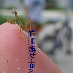 暗黑破壞神動漫