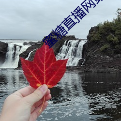 蜜(mì)糖直播(bō)网(wǎng)站是多少
