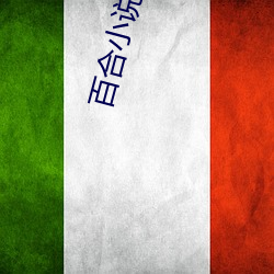 百合小(小)说频道