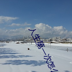 人生第一次怎么做教程 （野味）
