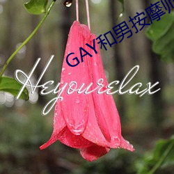 GAY和男按摩师GAY的漫画 （全璧归赵）