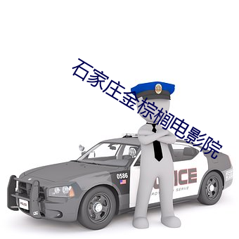 石家庄金棕榈电影院 （寸铁杀人）