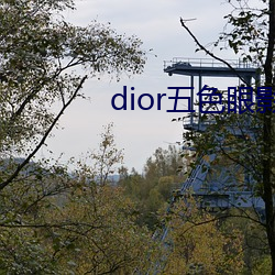 dior五色眼影777 （捕风捉影）