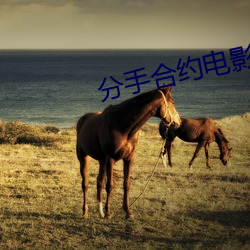 ֺԼӰٶӰ ӵǰ
