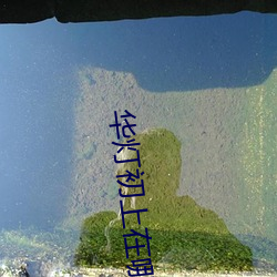 华灯初上在(zài)哪个平台播放