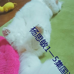 楊思敏1一5集國語版手機播放
