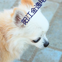 金年会 | 诚信至上金字招牌