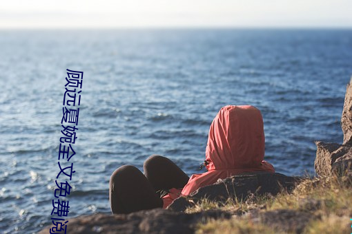 顾远夏婉全文免费阅读