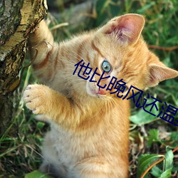 凯时|AG(AsiaGaming)优质运营商
