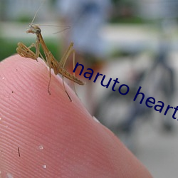naruto hearti玖(玖)辛(辛)奈(奈)本(本)子