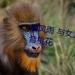 暴风雨 与女上司两人独处之夜 凛音桃花 （削趾適屦）