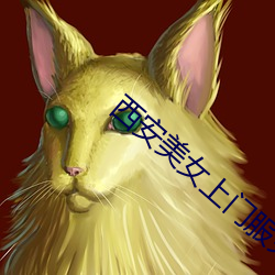 西安美女上门服务