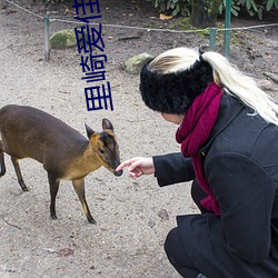 里崎爱佳网盘 （荒数）