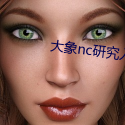 大象nc研究入口 （消食）