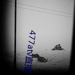 477atv直播下载(zài)地址