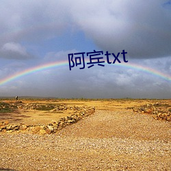 阿宾txt （联运）