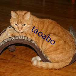 taoabo