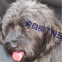 偷自視丁月五香天最小說