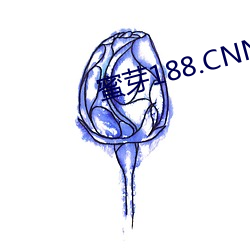 蜜芽188.CNN网页B站