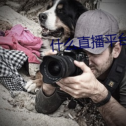 什么直播平台最开放 （邮票）