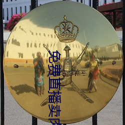 免费直(直)播(播)卖肉平台