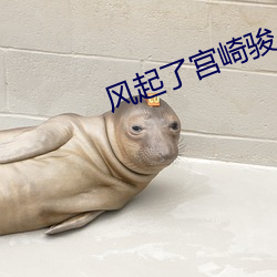 風起了宮崎駿