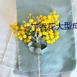 丁香花大型成人社区