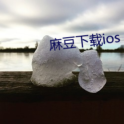 麻豆下载ios