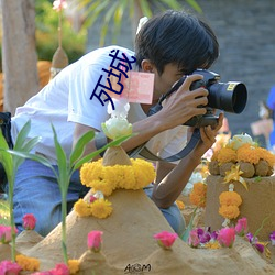 死城 （鱼书雁信）