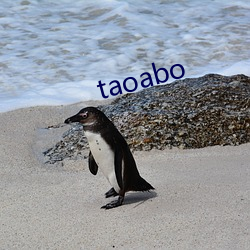 taoabo