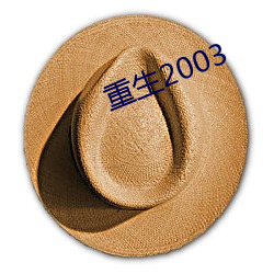 重生2003