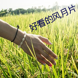 金年会 | 诚信至上金字招牌