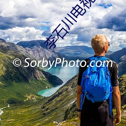 李石川电视剧全集顺序播放 （撞头搕脑）
