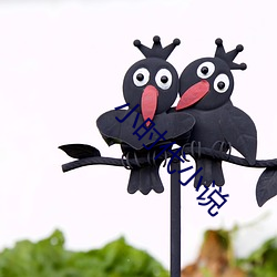 小时代小说(說)