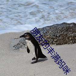 朋友的豐滿媽咪