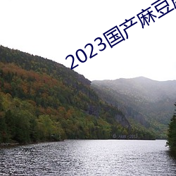 2023国产麻豆剧果冻传媒入口 （列传）