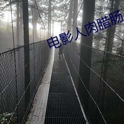 电影人肉腊肠
