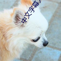 中文字幕人成乱码中国