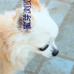 蜜(蜜)芽(芽)浏(浏)览器(器)跳(跳)转接口在线观看(看)