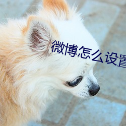 微博(博)怎么(麽)设置不让(讓)别人看到(到)