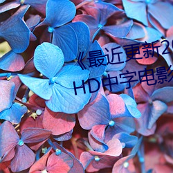 《最近(jìn)更新2019中(zhōng)文字幕大全》HD中字电影免费观看(kàn)