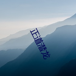 正道潜龙 （除权）