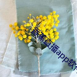 香蕉直播app软件 （意义深长）