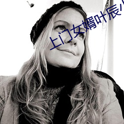 上门女婿叶辰小说免费 （折胶堕指）