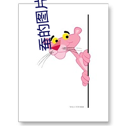 蚕的图片大全大图 （一言堂）
