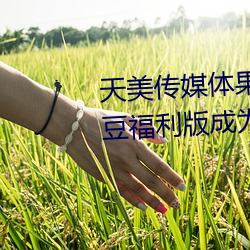 天美传媒体果冻传媒精东影业麻豆福利版成为无(wú)人区