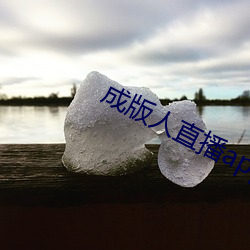 成版人直播app叫什么