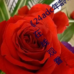 《24adc年龄确认(rèn)18周岁进入》高(gāo)清免(miǎn)费在(zài)线观看