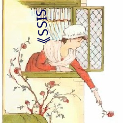 《SSIS （程序控制）